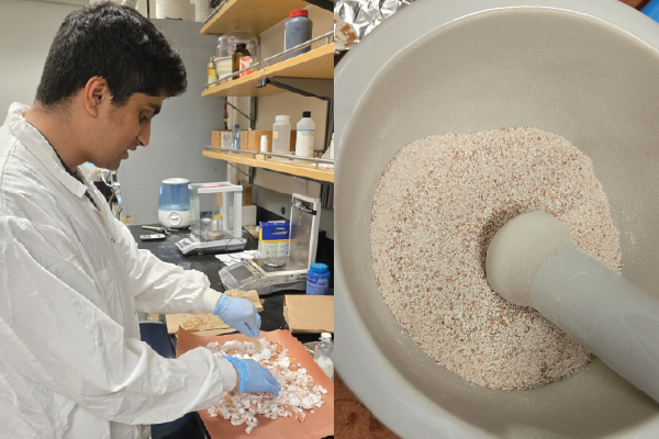 Eggshells processing